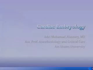 Cardiac Embryology