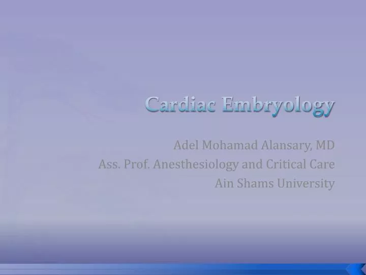 cardiac embryology