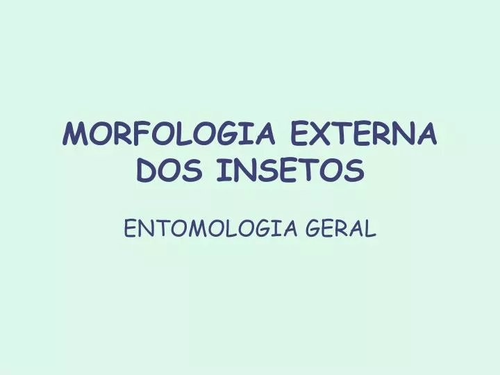 morfologia externa dos insetos