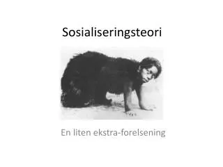 sosialiseringsteori