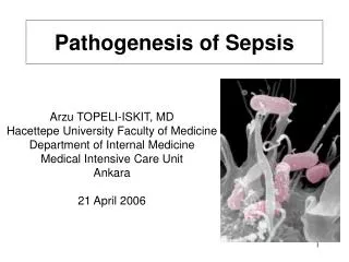 Pathogenesis of Sepsis