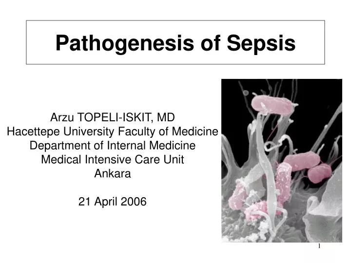 pathogenesis of sepsis