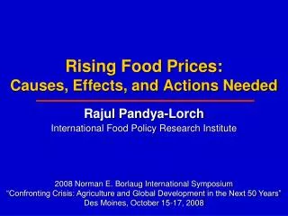 Rising Food Prices: Causes, Effects, and Actions Needed