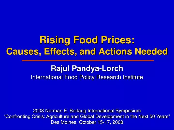 rising food prices causes effects and actions needed