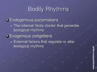 Bodily Rhythms