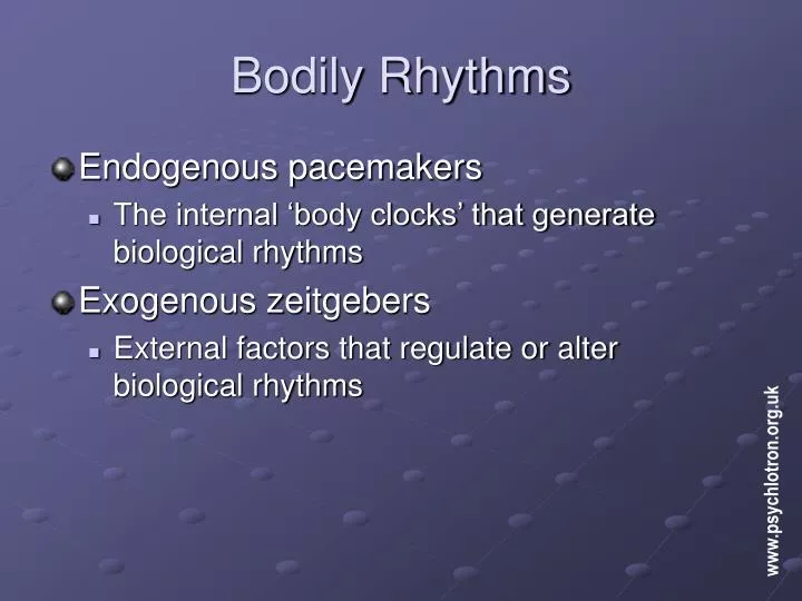 bodily rhythms
