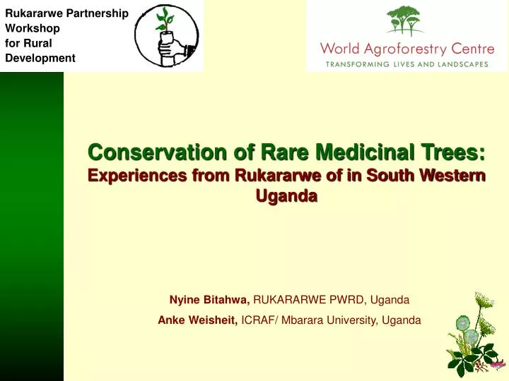 conservation of rare medicinal trees experiences from rukararwe of in south western uganda
