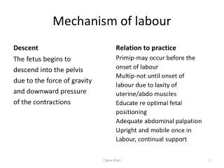 Mechanism of labour