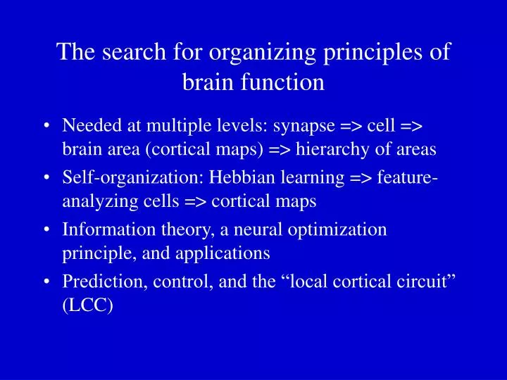 the search for organizing principles of brain function