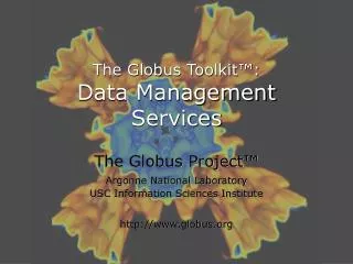 The Globus Toolkit™: Data Management Services