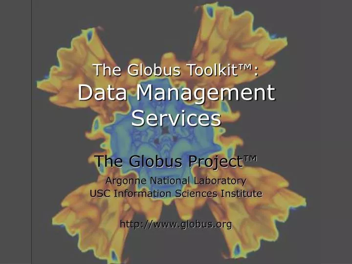 the globus toolkit data management services