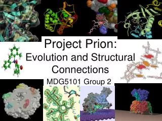 Project Prion: Evolution and Structural Connections