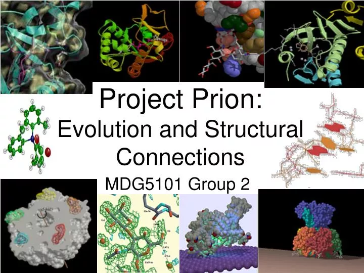 project prion evolution and structural connections