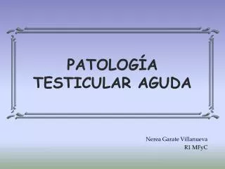 patolog a testicular aguda