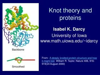 Knot theory and proteins