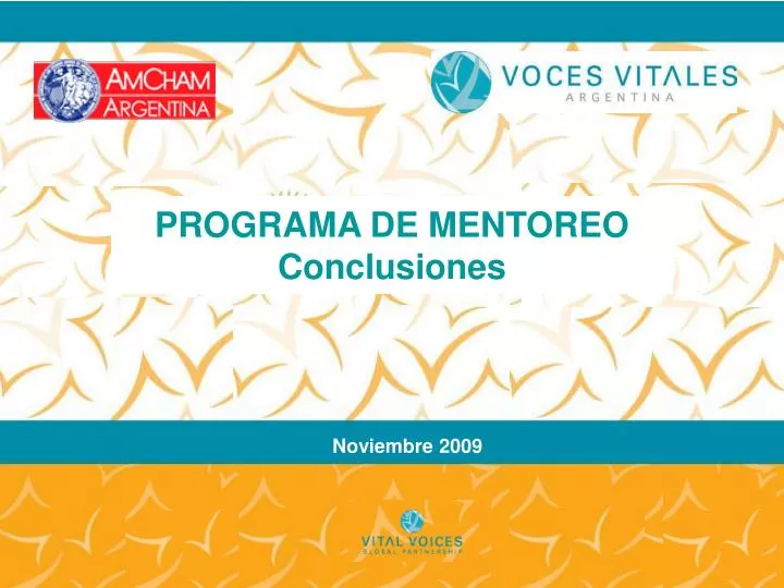 programa de mentoreo conclusiones