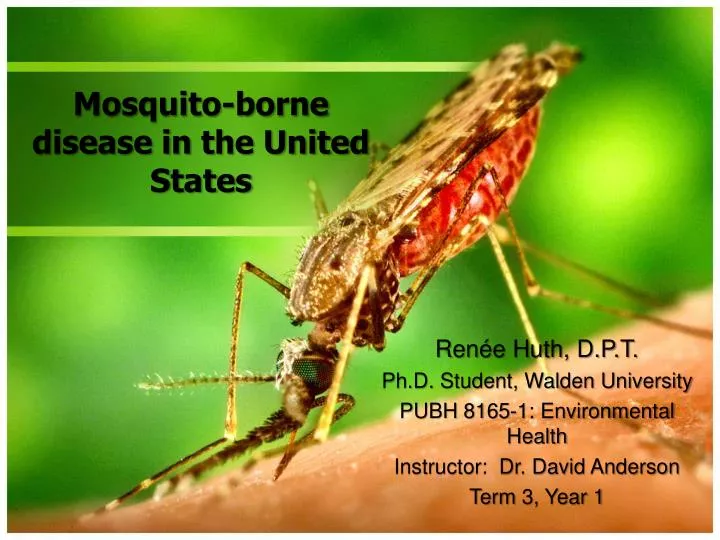 mosquito borne disease in the united states