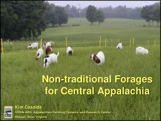Non-traditional Forages for Central Appalachia