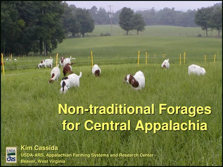 non traditional forages for central appalachia