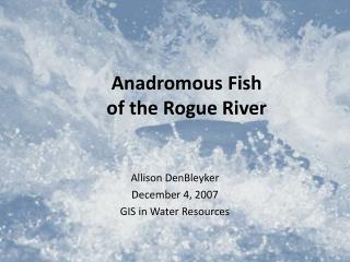 Anadromous Fish of the Rogue River