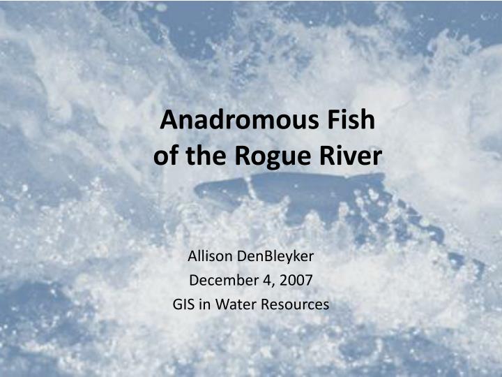 anadromous fish of the rogue river