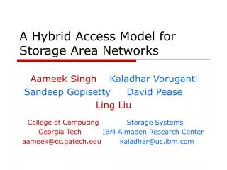 A Hybrid Access Model for Storage Area Networks