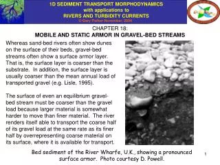 CHAPTER 18: MOBILE AND STATIC ARMOR IN GRAVEL-BED STREAMS