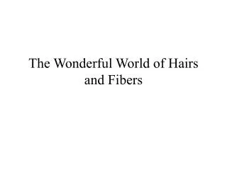 The Wonderful World of Hairs and Fibers