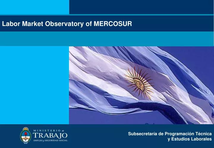 labor market observatory of mercosur
