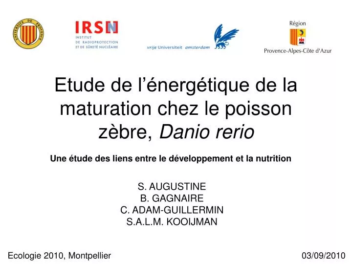 etude de l nerg tique de la maturation chez le poisson z bre danio rerio