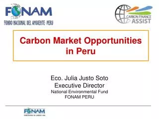 Carbon Market Opportunities in Peru