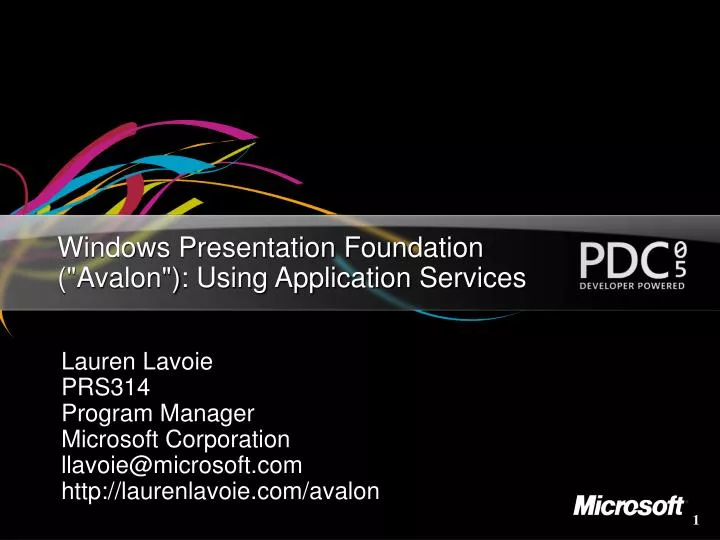 windows presentation foundation avalon using application services