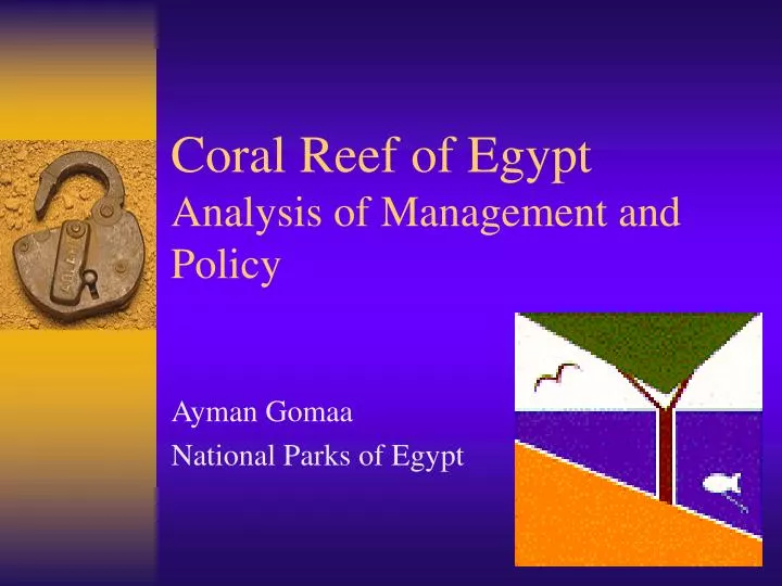 coral reef of egypt analysis of management and policy