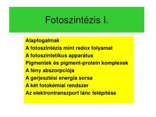 Fotoszintézis I.