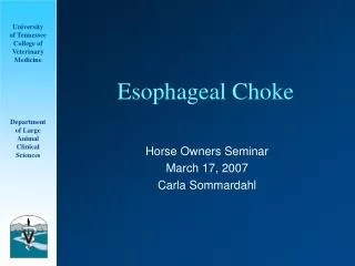 Esophageal Choke