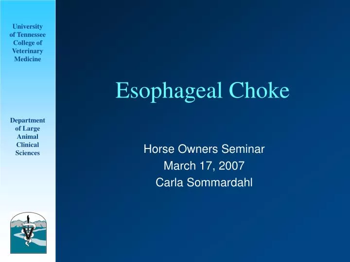 esophageal choke