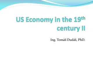 US Economy in the 19 th century II