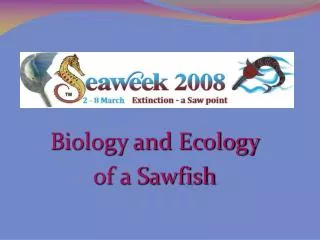 Biology and Ecology of a Sawfish