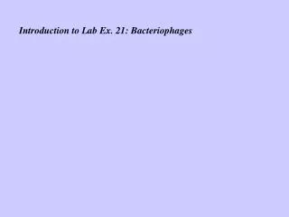 Introduction to Lab Ex. 21: Bacteriophages