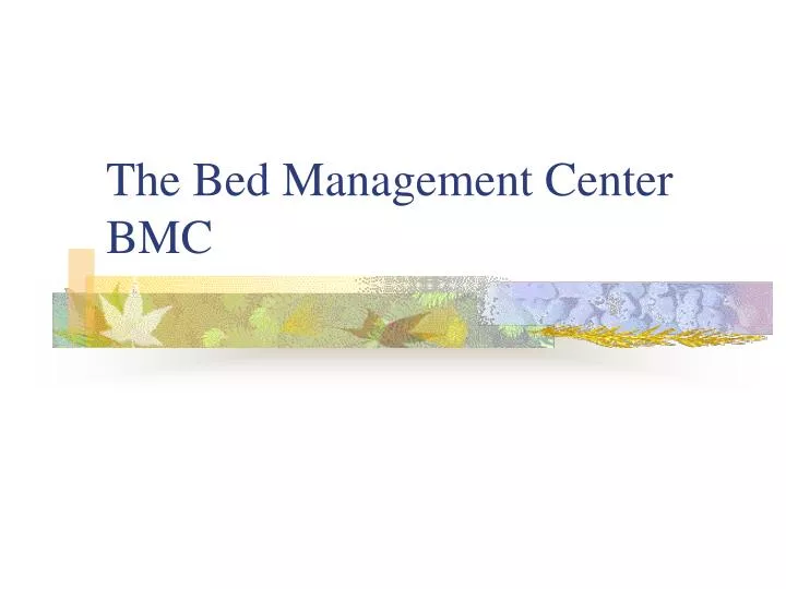 the bed management center bmc