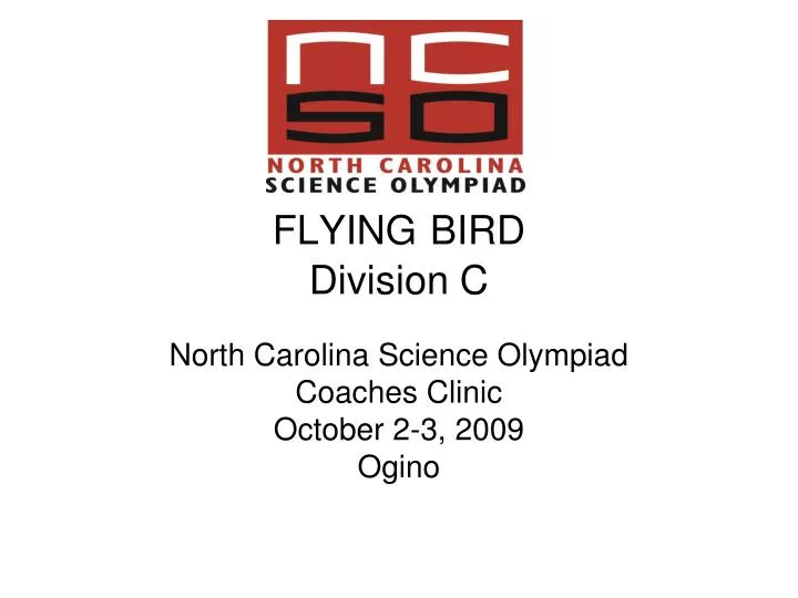 flying bird division c