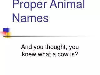 Proper Animal Names