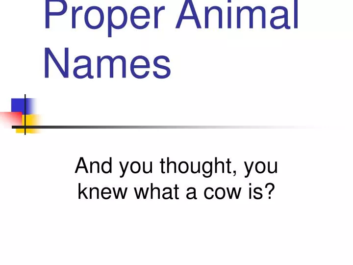 proper animal names