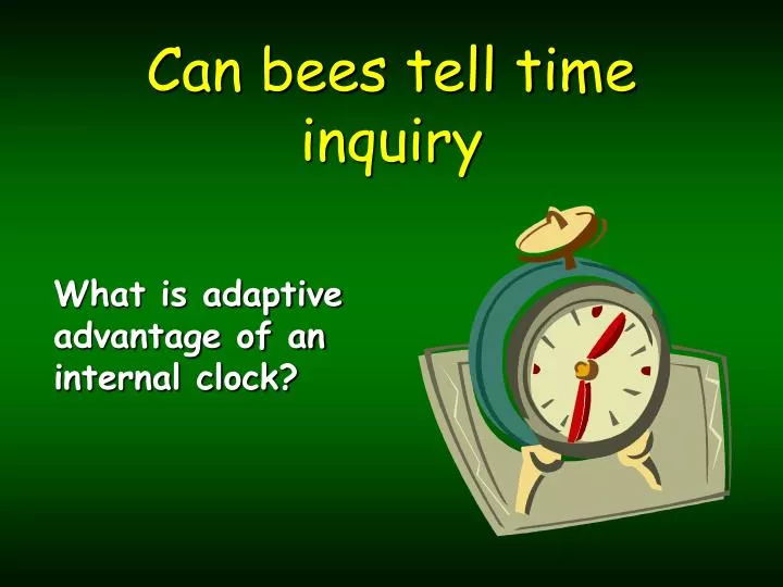 can bees tell time inquiry