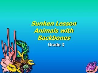 Sunken Lesson Animals with Backbones
