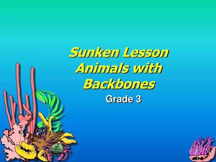 sunken lesson animals with backbones