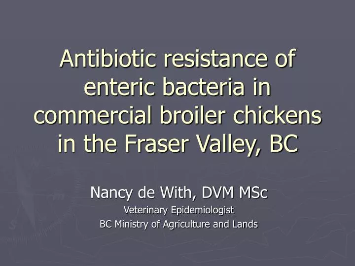 antibiotic resistance of enteric bacteria in commercial broiler chickens in the fraser valley bc