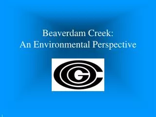 Beaverdam Creek: An Environmental Perspective