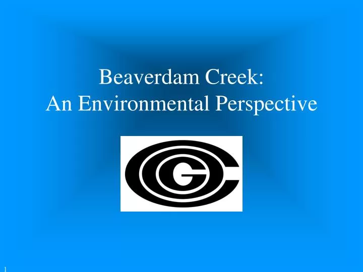 beaverdam creek an environmental perspective