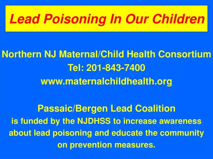 lead poisoning in our children